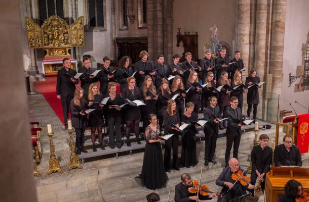 les-organisations/maitrise-cathedrale-de-sion